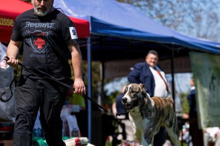 56. 	Suka	Mladých	VANDA MIA CAOKO MIA 	V