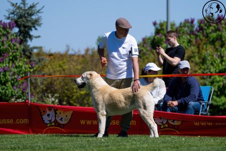 54. 	Suka	Mladých	TAJGA	V2