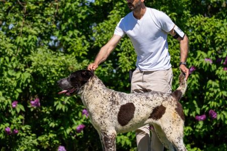 51. 	Suka	Mladých	LEDA FROM IMPERIAL ROADS	V4