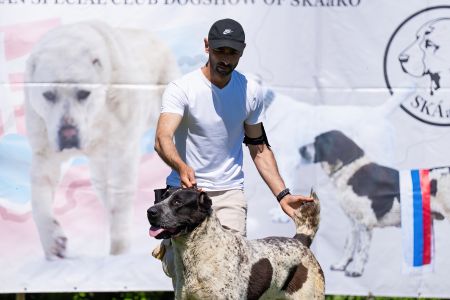 51. 	Suka	Mladých	LEDA FROM IMPERIAL ROADS	V4