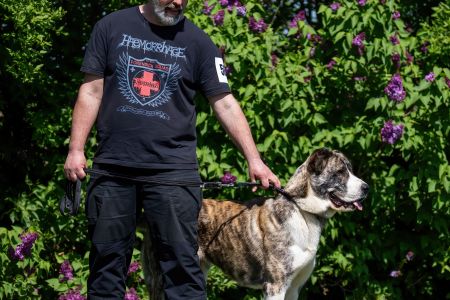 56. 	Suka	Mladých	VANDA MIA CAOKO MIA 	V