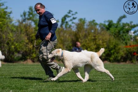 53. 	Suka	Mladých	PIJA LEINADIPAD -PDDPS	V