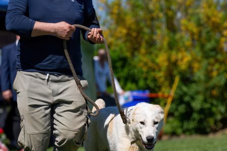 53. 	Suka	Mladých	PIJA LEINADIPAD -PDDPS	V