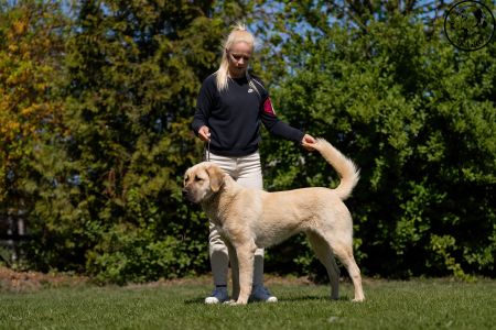 47. 	Suka	Mladých	ATARA GUARDIANS OF KAHU	VD