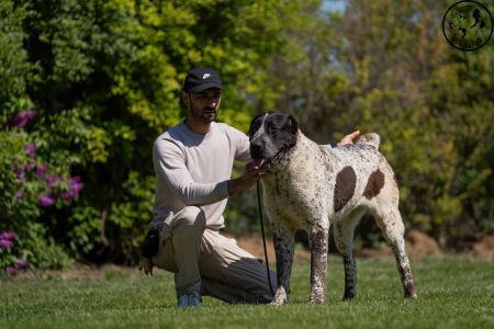 51. 	Suka	Mladých	LEDA FROM IMPERIAL ROADS	V4