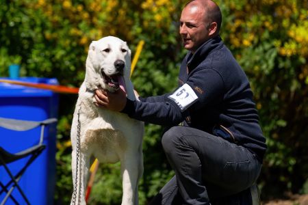 50. 	Suka	Mladých	HISTORY SOUL NOVKE ALABAY SRB	V3