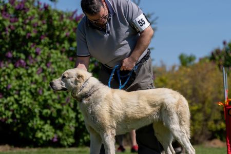 55. 	Suka	Mladých	TIKOSISTAN BADRA	V