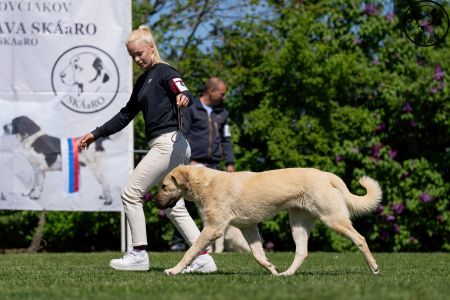 47. 	Suka	Mladých	ATARA GUARDIANS OF KAHU	VD