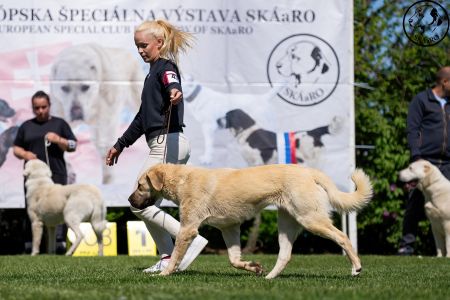 47. 	Suka	Mladých	ATARA GUARDIANS OF KAHU	VD