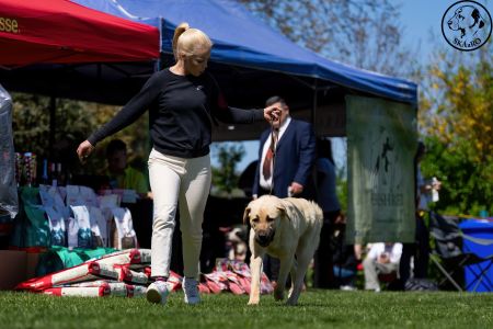 47. 	Suka	Mladých	ATARA GUARDIANS OF KAHU	VD