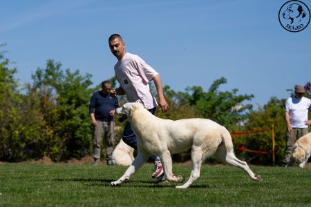 48. 	Suka	Mladých	ATHENA	V