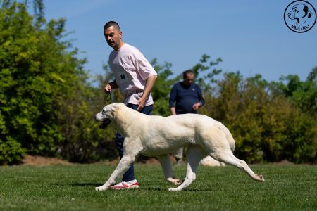 48. 	Suka	Mladých	ATHENA	V