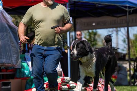 32. 	Pes	Šampiónov	F’ GÜÝGLI VON LIFE BALL	V3