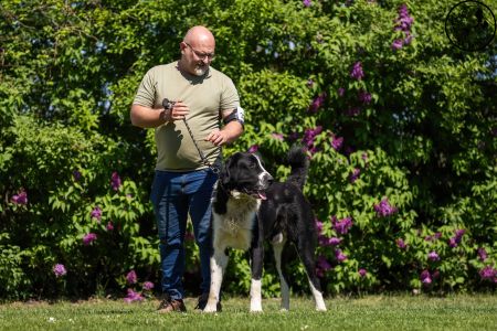 32. 	Pes	Šampiónov	F’ GÜÝGLI VON LIFE BALL	V3