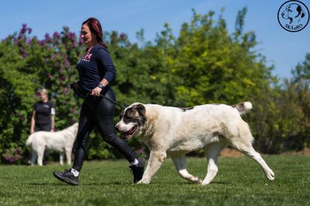 29. 	Pes	Otvorená	TALISMAN YUZHNOGO BEREGA TRIUMPH	V