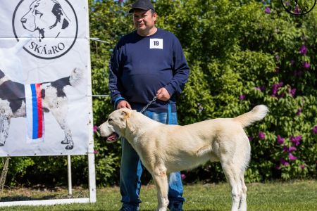 19. 	Pes	Stredná	MEKIR ERK ESHRET	V1, CAC