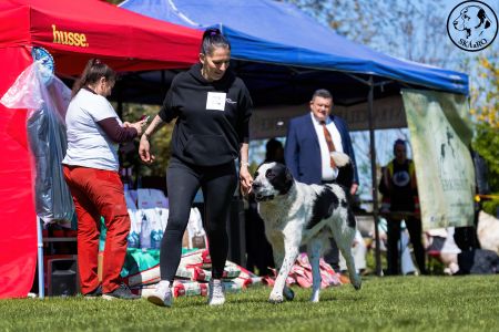 22. 	Pes	Stredná	RENESMEE TENERIS JAVAN	V2, Res.CAC