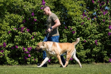 23. 	Pes	Otvorená	FARAON BALI-BEJ	V4