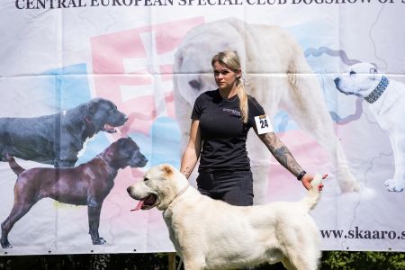 24. 	Pes	Otvorená	GAZIZ CHORASAN	V1, CAC