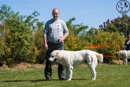 21. 	Pes	Stredná	RASHAN CHACALKIZ CHENEKEL	VD3