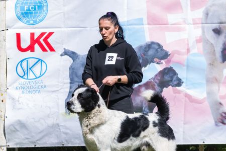 22. 	Pes	Stredná	RENESMEE TENERIS JAVAN	V2, Res.CAC