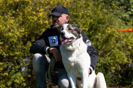 12. 	Pes	Mladých	ASLAN RYE ISLAND	V