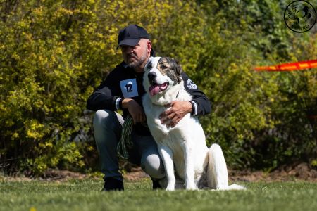 12. 	Pes	Mladých	ASLAN RYE ISLAND	V