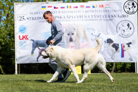 17. 	Pes	Mladých	SABYA	V
