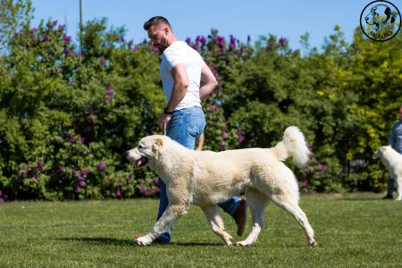 13. 	Pes	Mladých	BARBÁR TIKOSISTAN	V4