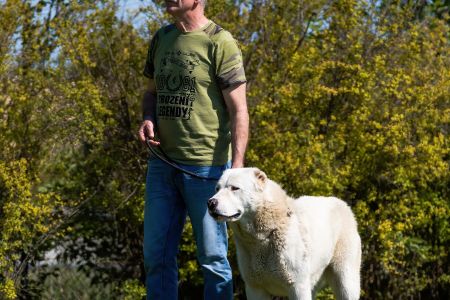 9. 	Pes	Mladých	ALAN MISUS-MTM	VD