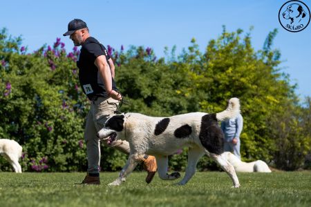 14. 	Pes	Mladých	GHADIR CAO IT	V3