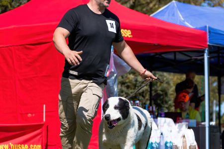 14. 	Pes	Mladých	GHADIR CAO IT	V3