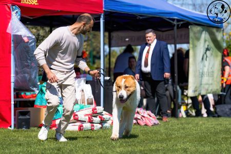 15. 	Pes	Mladých	KODIAK FROM IMPERIAL ROADS	V