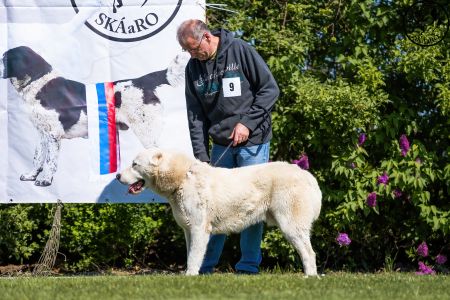 9. 	Pes	Mladých	ALAN MISUS-MTM	VD