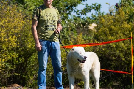 9. 	Pes	Mladých	ALAN MISUS-MTM	VD