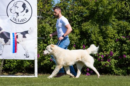 13. 	Pes	Mladých	BARBÁR TIKOSISTAN	V4