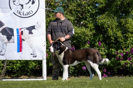 10. 	Pes	Mladých	ARCHIBALD GUARDIANS OF KAHU	D