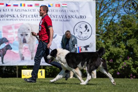 26. 	Pes	Otvorená	LOKI-BURI-AL-BASAR	V2, Res.CAC