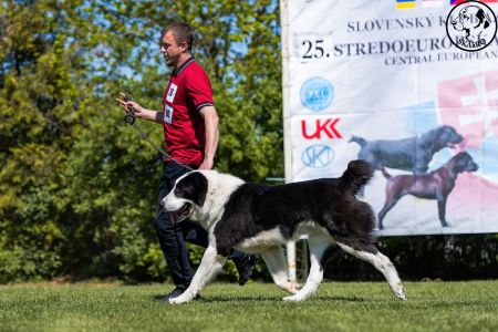 26. 	Pes	Otvorená	LOKI-BURI-AL-BASAR	V2, Res.CAC