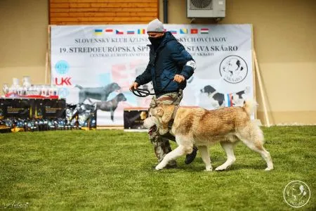19.Spec.klub výstava